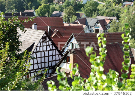 EUROPE GERMANY BLACKFOREST EUROPE GERMANY BLACKFOREST 37946162