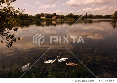 EUROPE GERMANY BLACKFOREST EUROPE GERMANY BLACKFOREST 37946167