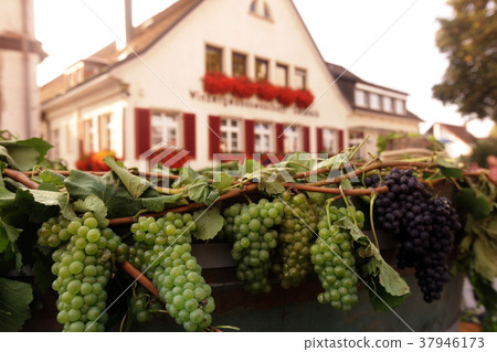 EUROPE GERMANY BLACKFOREST EUROPE GERMANY BLACKFOREST 37946173
