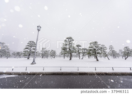 It's snowing Tokyo 37946311