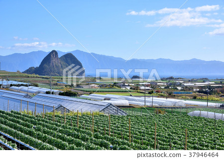 Ibusuki City Yamakawa scenery strange rock Takeyama distant view Osumi peninsula 37946464