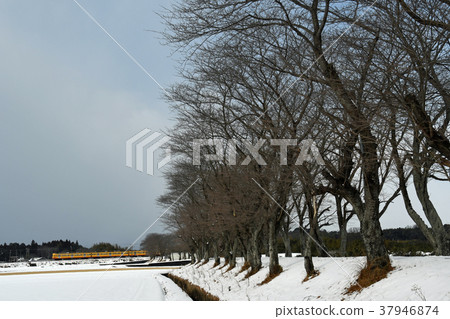 Sanki Railway winter Sanki Railway winter 37946874