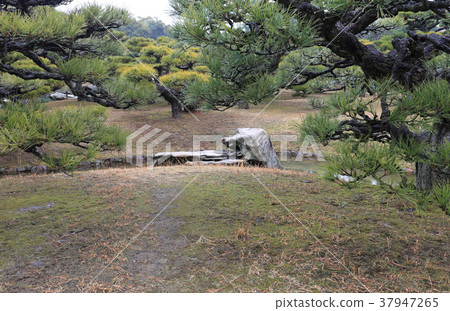 Kuribayashi公園在冬天，“Saiko”在南花園 37947265