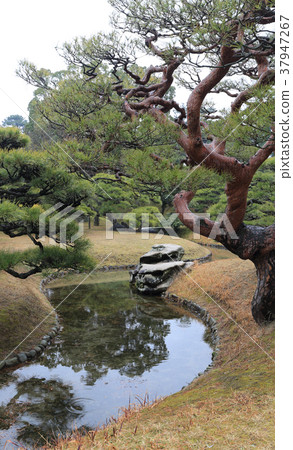 Kuribayashi公園在冬天,“Saiko”在南花園 Kuribayashi公園在冬天,“Saiko”在南花園 37947267