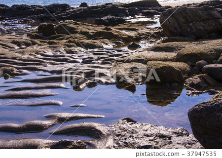 Seongdong Beach, Taean Coast National Park, Taean County, Chungnam 37947535