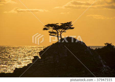 Seongdong Beach, Taean Coast National Park, Taean County, Chungnam 37947555