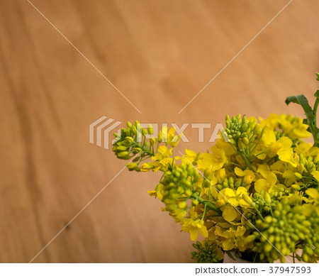 強姦開花 37947593