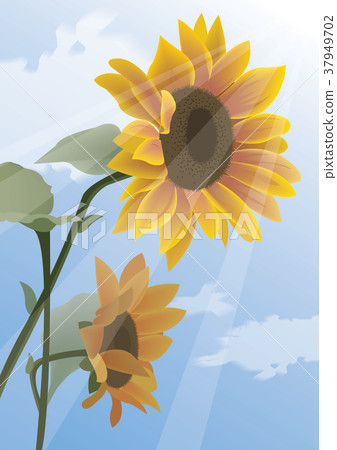 兒童與自然 兒童與自然 37949702