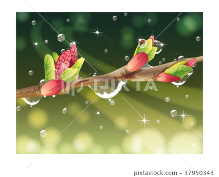 New Year and Four Seasons 37950343