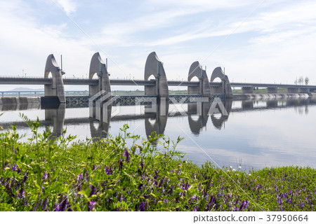 Youngsan河,Wonchonbo,Namgu,Gwangju Youngsan河,Wonchonbo,Namgu,Gwangju 37950664