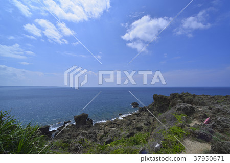 墾丁,墾丁國家公園,屏東,恆春,貓鼻頭公園,公園,珊瑚礁,岩石,海岸 墾丁,墾丁國家公園,屏東,恆春,貓鼻頭公園,公園,珊瑚礁,岩石,海岸 37950671