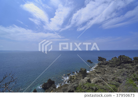 墾丁,墾丁國家公園,屏東,恆春,貓鼻頭公園,公園,珊瑚礁,岩石,海岸 墾丁,墾丁國家公園,屏東,恆春,貓鼻頭公園,公園,珊瑚礁,岩石,海岸 37950673