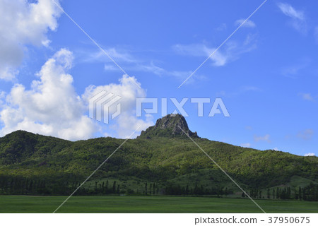 墾丁,墾丁國家森林遊樂區,墾丁國家公園,屏東,恆春,大尖山,公園,墾丁牧場,牧場,牧草 墾丁,墾丁國家森林遊樂區,墾丁國家公園,屏東,恆春,大尖山,公園,墾丁牧場,牧場,牧草 37950675