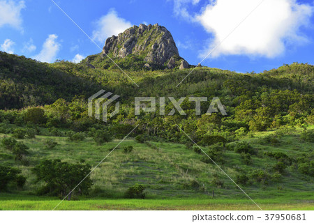 墾丁,墾丁國家森林遊樂區,墾丁國家公園,屏東,恆春,大尖山,公園,墾丁牧場,牧場,牧草 37950681