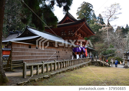 Tanyu Tobisu神社 37950885