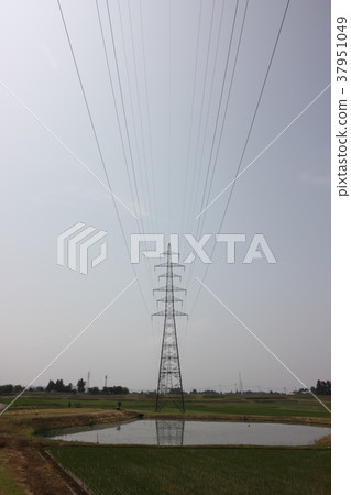 Transmission line iron towers reflected in biotope 37951049