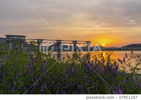 Jusanbo, Youngsan River, Naju City, Jeonnam Jusanbo, Youngsan River, Naju City, Jeonnam 37951287