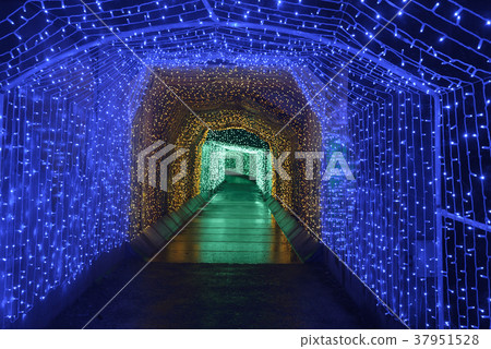 Illuminations illuminations 37951528