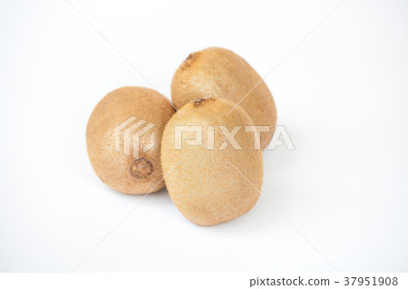 Kiwi fruit Kiwi fruit 37951908
