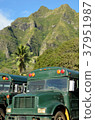 Kualoa Ranch 37951987