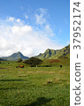 Kualoa Ranch 37952174
