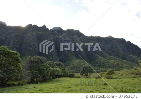 夏威夷的山脈 夏威夷的山脈 37952175