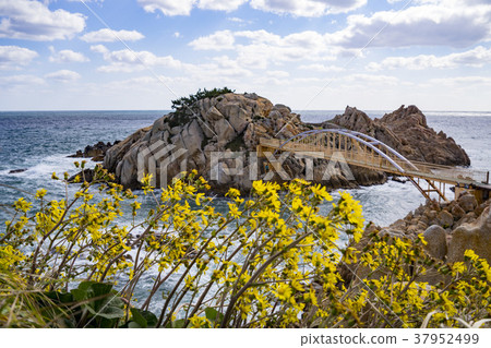 蔚山東區大灣公園 37952499