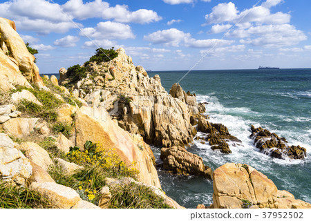 蔚山東區大灣公園 蔚山東區大灣公園 37952502