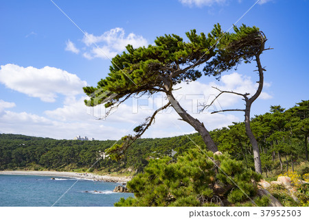 蔚山東區大灣公園 37952503