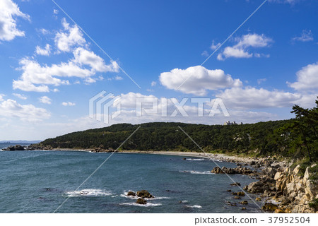 蔚山東區大灣公園 37952504