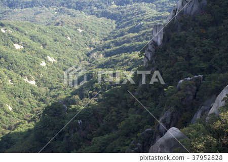 Dobongsan, Dobong-gu, Seoul 37952828