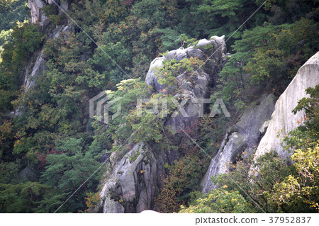 首爾,Dobong-gu,Dobongsan 首爾,Dobong-gu,Dobongsan 37952837