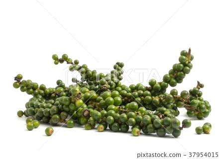 Green peppercorns on white background. 37954015