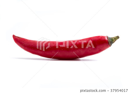Fresh Red chili papper on white background. Fresh Red chili papper on white background. 37954017