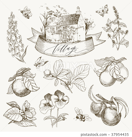 Set of farmhouse and garden flowers and fruits Set of farmhouse and garden flowers and fruits 37954435