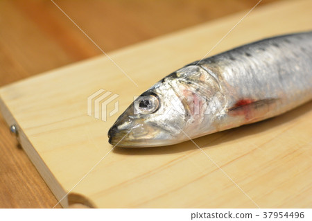在砧板上的沙丁魚 在砧板上的沙丁魚 37954496