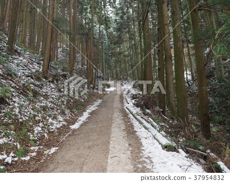 金剛Chihayamichi山 37954832
