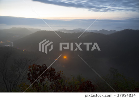Dae-won, green tea field, Boseong-gun, Jeonnam Dae-won, green tea field, Boseong-gun, Jeonnam 37954834