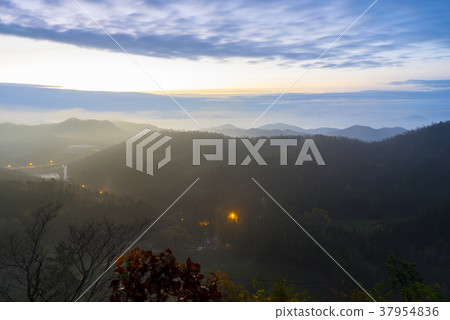 Dae-won, green tea field, Boseong-gun, Jeonnam Dae-won, green tea field, Boseong-gun, Jeonnam 37954836