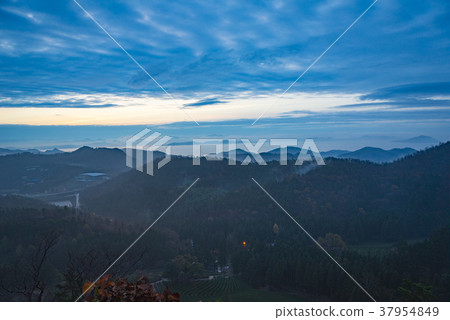 Dae-won, green tea field, Boseong-gun, Jeonnam Dae-won, green tea field, Boseong-gun, Jeonnam 37954849