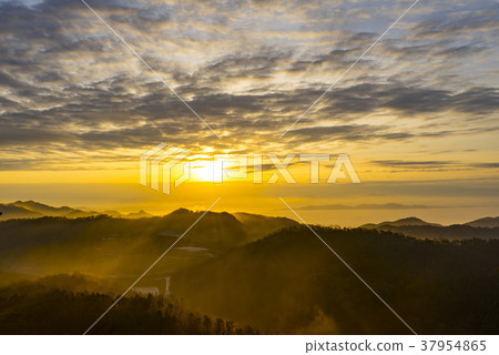 Dae-won, green tea field, Boseong-gun, Jeonnam 37954865