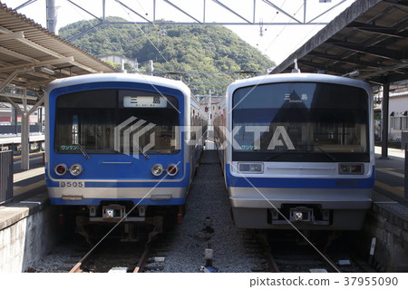 [IS] Izu Hakone Railway Sunzu Line 3000 series / 7000 series 37955090