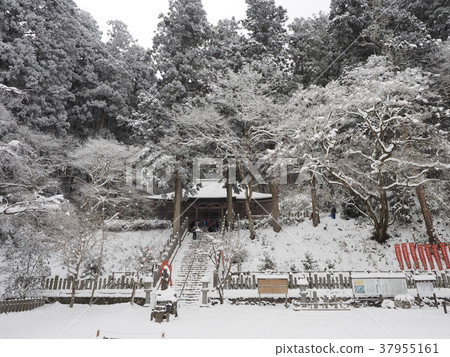 Mount Geumgang (Horinji Temple) Mount Geumgang (Horinji Temple) 37955161