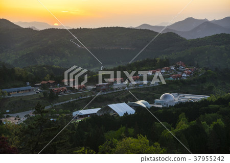 Dae-won, green tea field, Boseong-gun, Jeonnam Dae-won, green tea field, Boseong-gun, Jeonnam 37955242