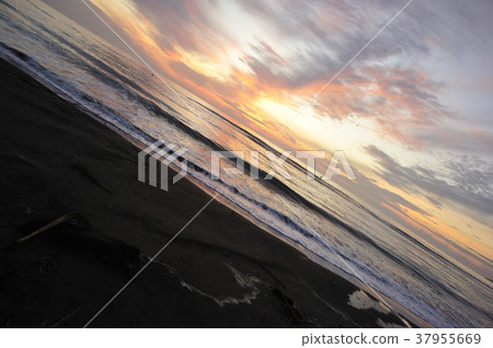 Morning glow of Qingdao 37955669