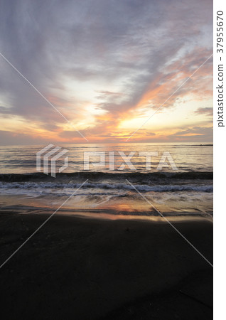 Morning glow of Qingdao 37955670