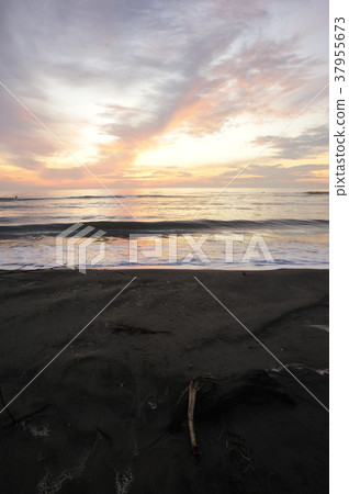 青島的晨光 37955673