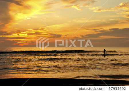 Morning glow of Qingdao 37955692