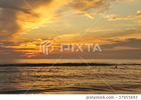 青島的晨光 37955693