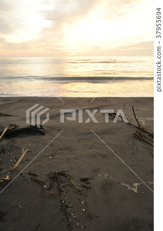 青島的晨光 37955694